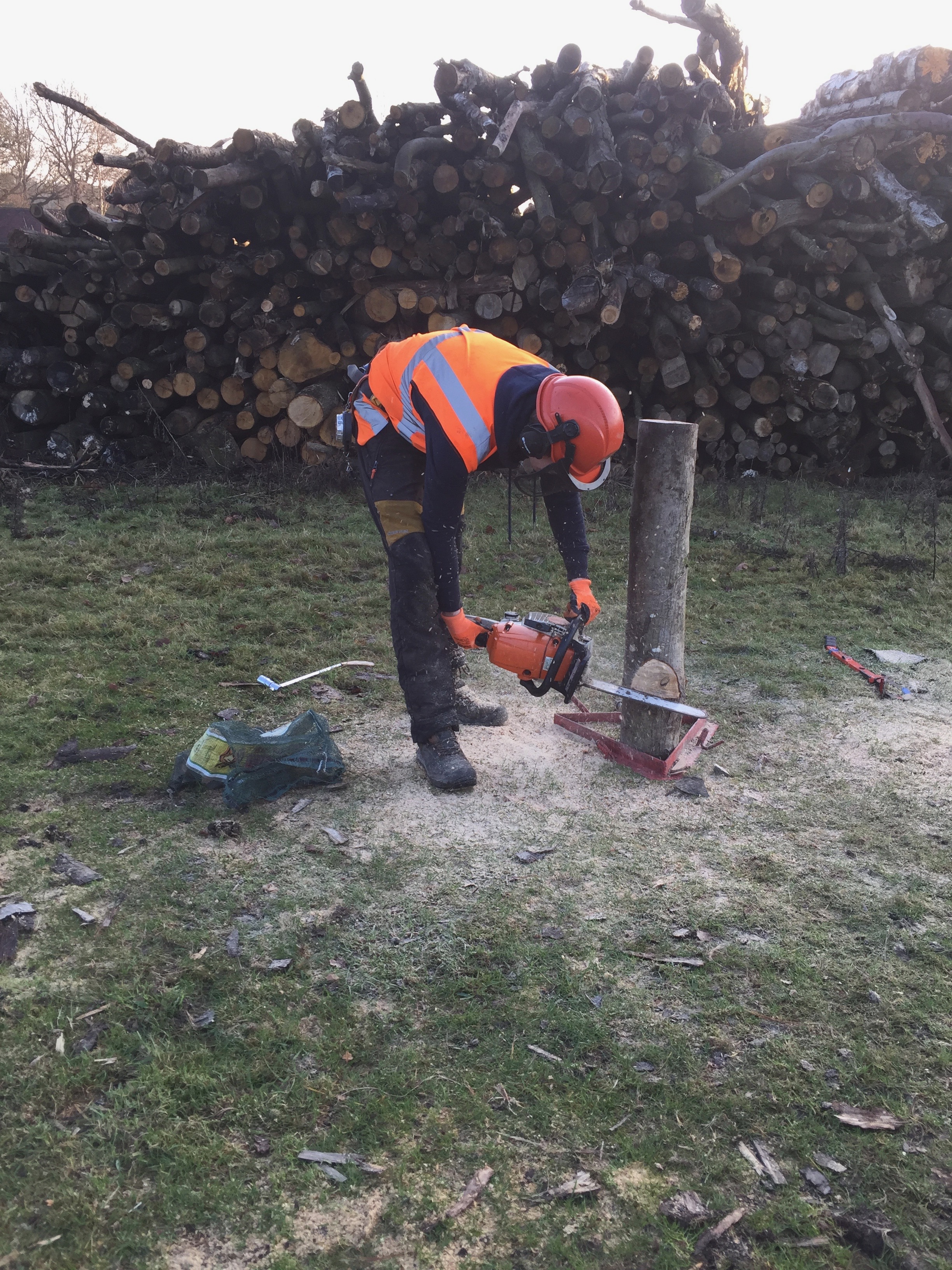 MD tree felling Columbia notch types,